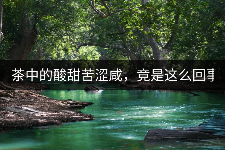 茶中的酸甜苦澀咸，竟是這么回事！