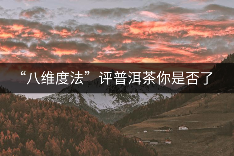 “八維度法”評普洱茶你是否了解！