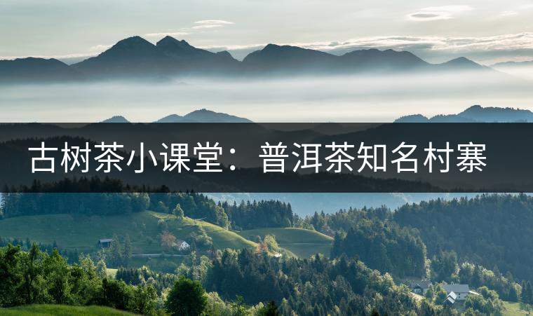 古樹(shù)茶小課堂：普洱茶知名村寨的生態(tài)環(huán)境如何？
