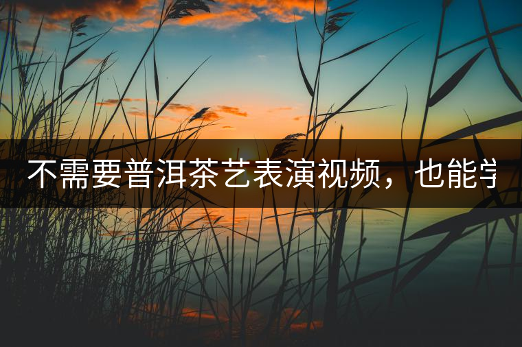 不需要普洱茶藝表演視頻，也能學(xué)會的茶藝！