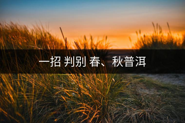 一招 判別 春、秋普洱