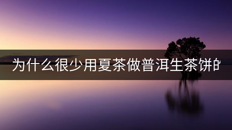 為什么很少用夏茶做普洱生茶餅的？