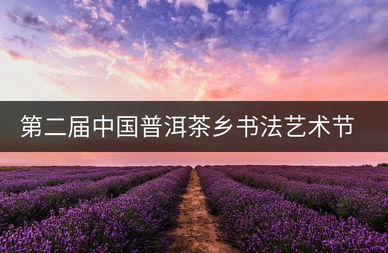 第二屆中國(guó)普洱茶鄉(xiāng)書法藝術(shù)節(jié)落幕 作品拍賣資助留守兒童