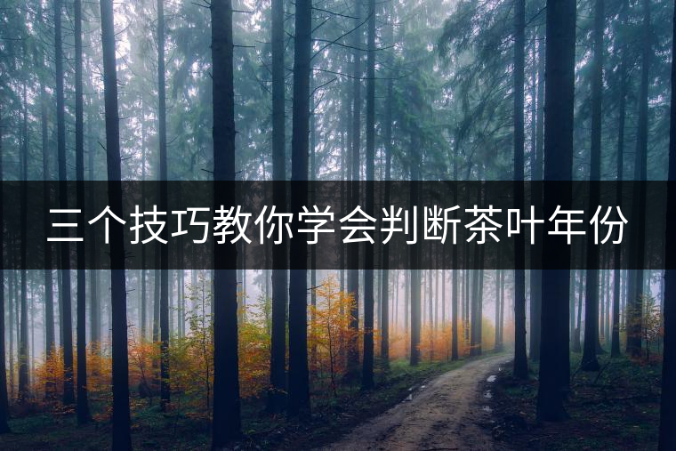 三個技巧教你學(xué)會判斷茶葉年份