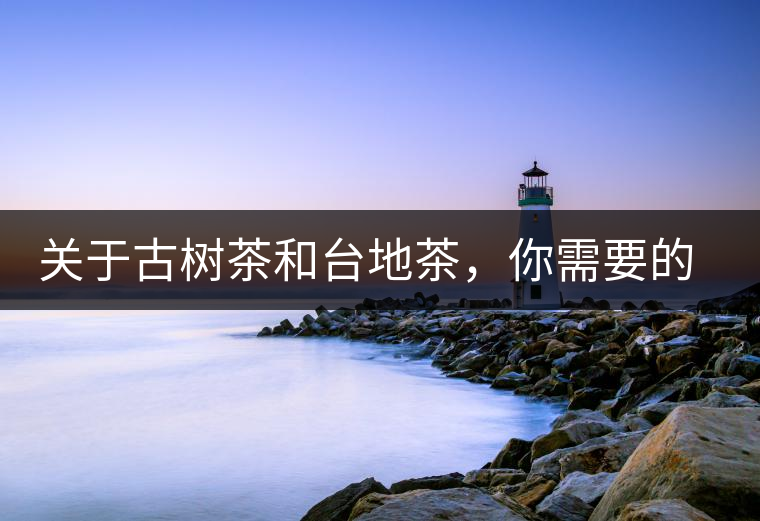 關(guān)于古樹(shù)茶和臺(tái)地茶，你需要的知識(shí)全在這里了