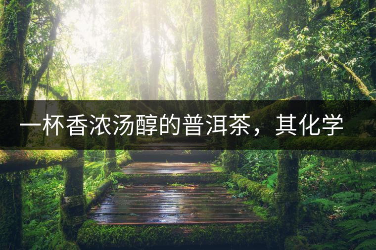 一杯香濃湯醇的普洱茶，其化學(xué)成分是怎樣的？