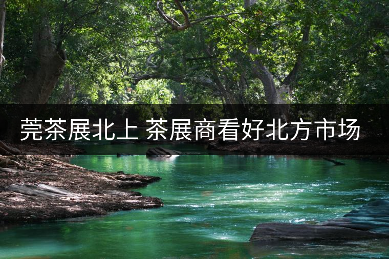 莞茶展北上 茶展商看好北方市場！