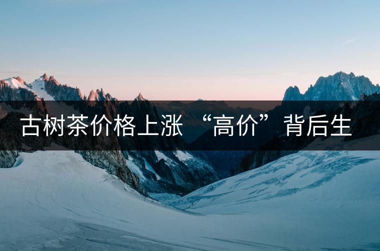 古樹茶價格上漲 “高價”背后生態(tài)環(huán)境令人擔(dān)憂 古樹茶價格上漲 “高價”背后生態(tài)環(huán)境令人擔(dān)憂