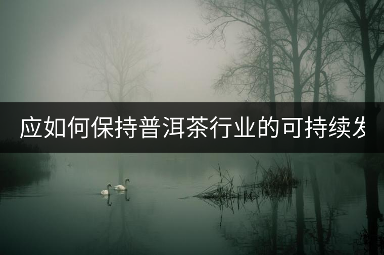 應(yīng)如何保持普洱茶行業(yè)的可持續(xù)發(fā)展？