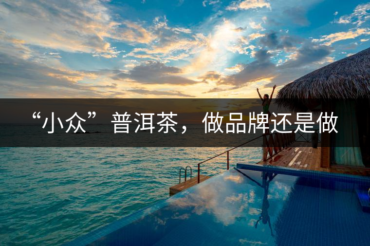 “小眾”普洱茶，做品牌還是做圈子？