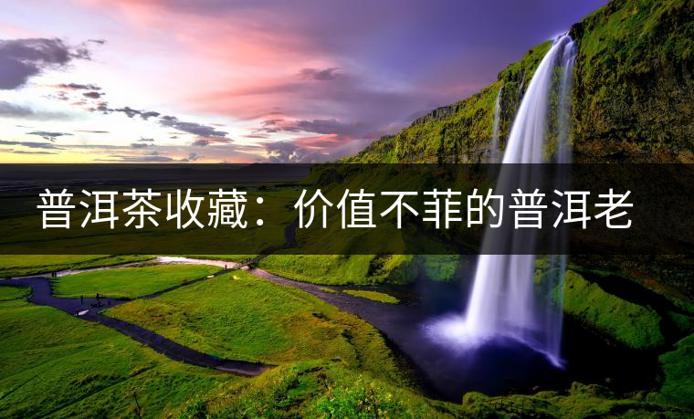 普洱茶收藏:價值不菲的普洱老茶 普洱茶收藏:價值不菲的普洱老茶