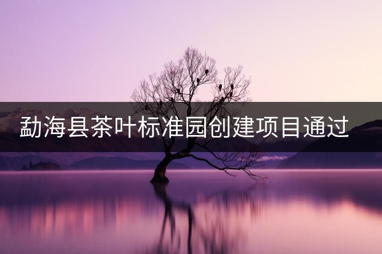 勐海縣茶葉標(biāo)準(zhǔn)園創(chuàng)建項目通過省級驗收