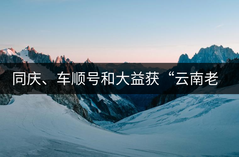 同慶、車順號和大益獲“云南老字號”稱號