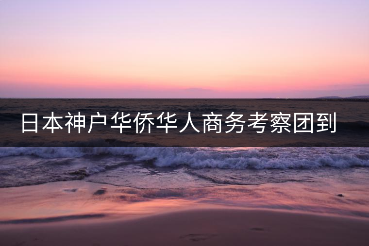 日本神戶華僑華人商務(wù)考察團到普洱市考察 日本神戶華僑華人商務(wù)考察團到普洱市考察