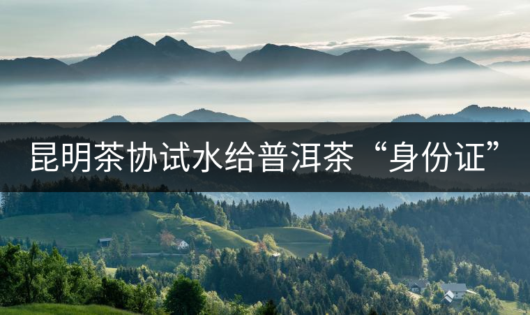 昆明茶協(xié)試水給普洱茶“身份證”