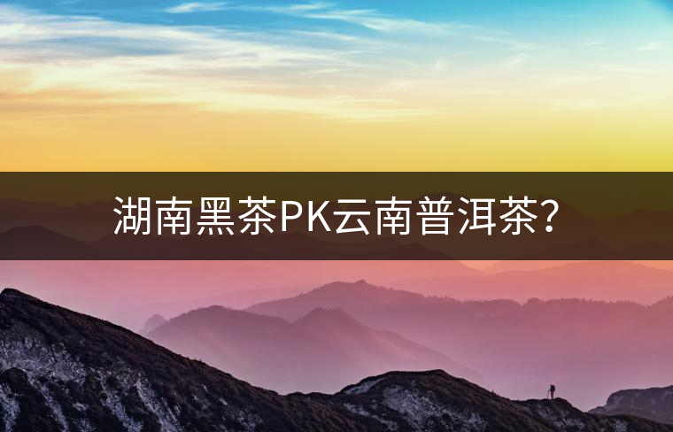湖南黑茶PK云南普洱茶？