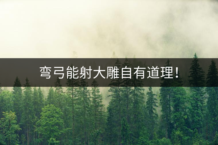 彎弓能射大雕自有道理！