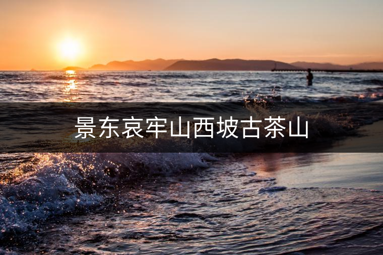 景東哀牢山西坡古茶山