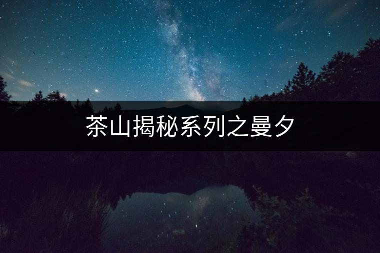 茶山揭秘系列之曼夕