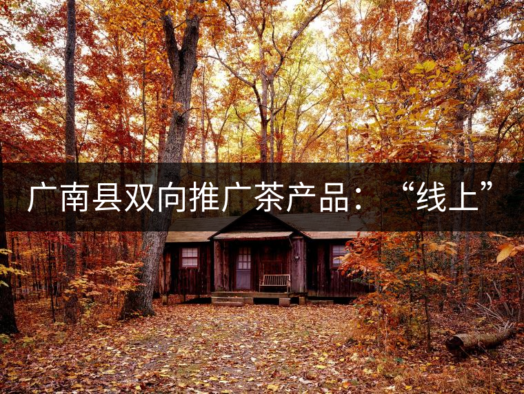 廣南縣雙向推廣茶產(chǎn)品：“線上”銷售茶葉已有100多家，“線下”銷售額已達(dá)百萬(wàn)