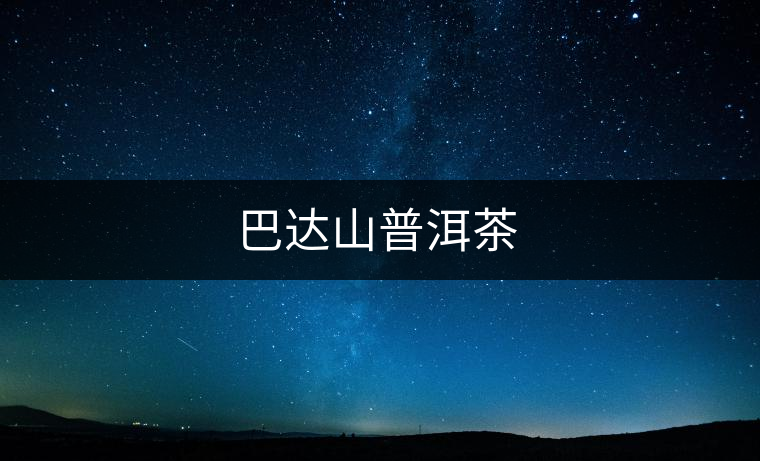 巴達(dá)山普洱茶 巴達(dá)山普洱茶