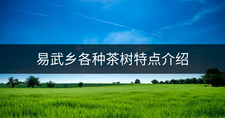 易武鄉(xiāng)各種茶樹特點(diǎn)介紹