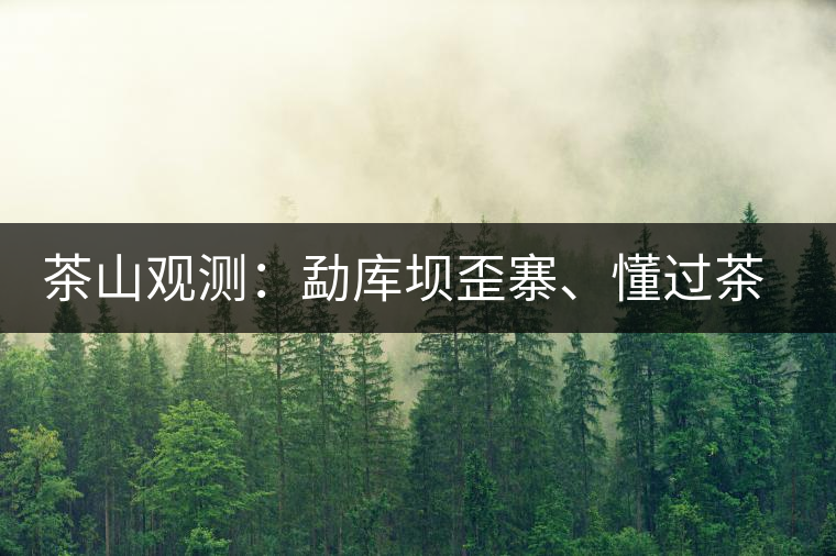 茶山觀測(cè)：勐庫壩歪寨、懂過茶山、大戶寨等茶山的生態(tài)指數(shù)