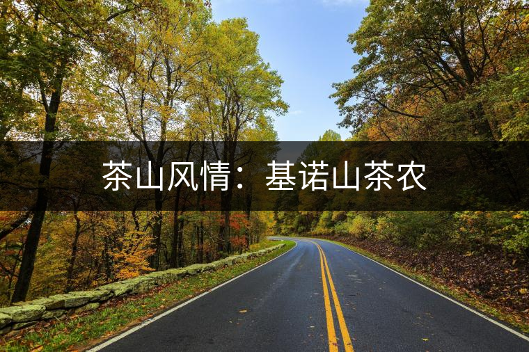 茶山風情:基諾山茶農 茶山風情:基諾山茶農