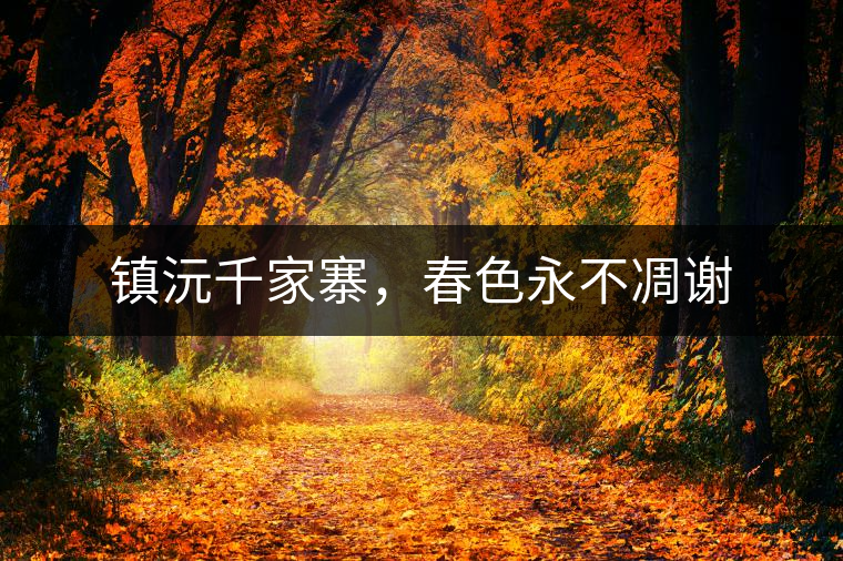 鎮(zhèn)沅千家寨，春色永不凋謝