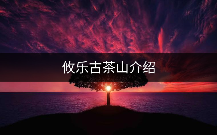 攸樂古茶山介紹 攸樂古茶山介紹