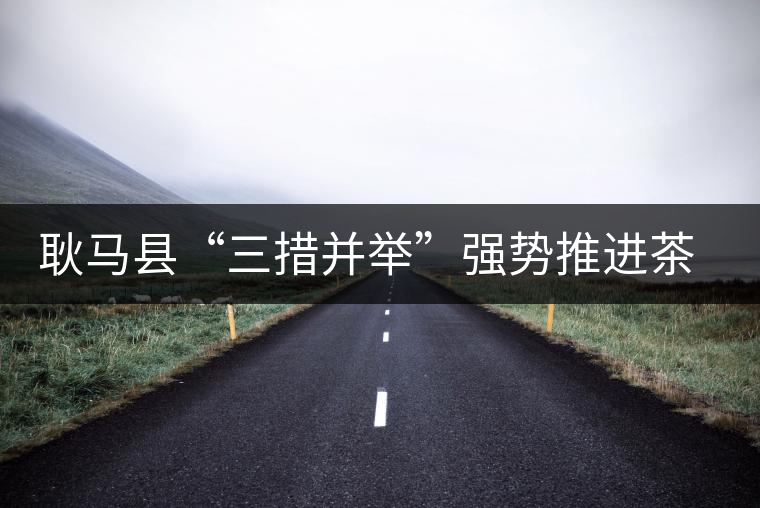 耿馬縣“三措并舉”強(qiáng)勢推進(jìn)茶葉產(chǎn)業(yè)的發(fā)展 耿馬縣“三措并舉”強(qiáng)勢推進(jìn)茶葉產(chǎn)業(yè)的發(fā)展