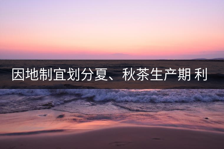 因地制宜劃分夏、秋茶生產(chǎn)期 利于采摘品質(zhì)