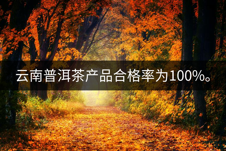云南普洱茶產(chǎn)品合格率為100%。