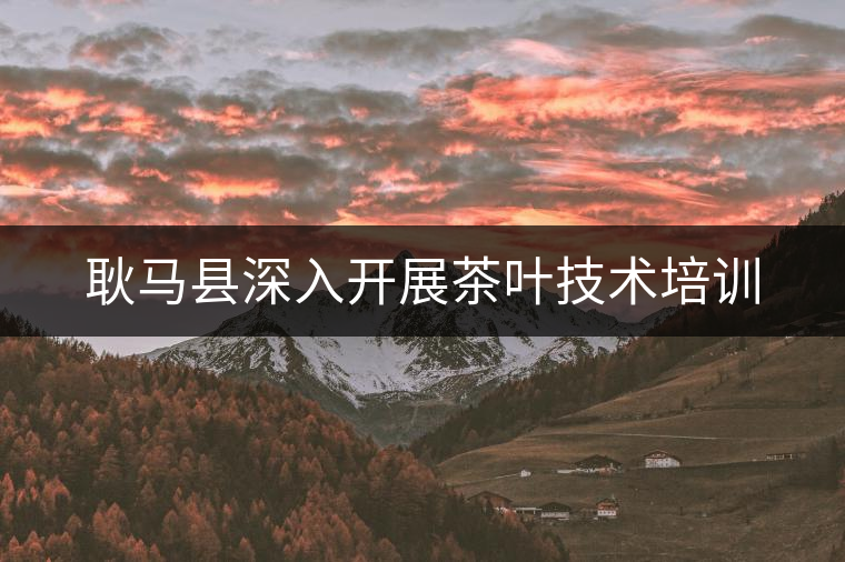 耿馬縣深入開展茶葉技術(shù)培訓