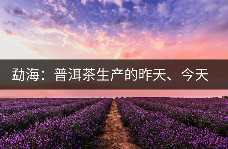 勐海：普洱茶生產(chǎn)的昨天、今天、明天