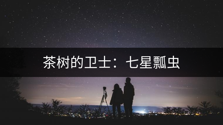 茶樹(shù)的衛(wèi)士：七星瓢蟲