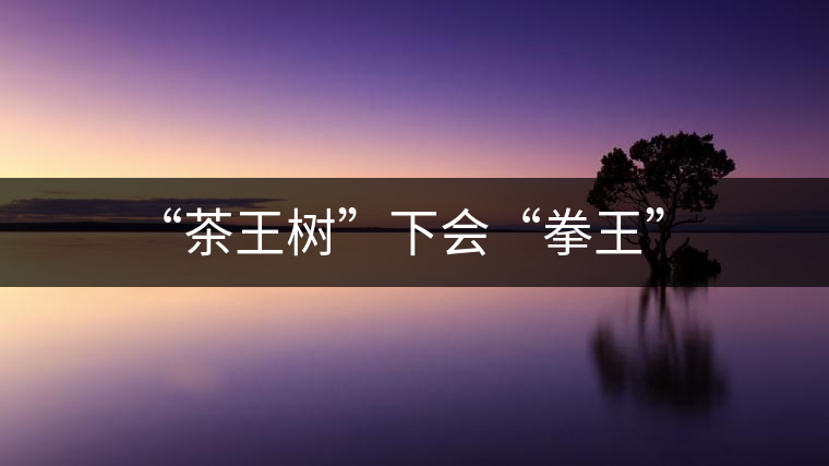 “茶王樹”下會“拳王” “茶王樹”下會“拳王”