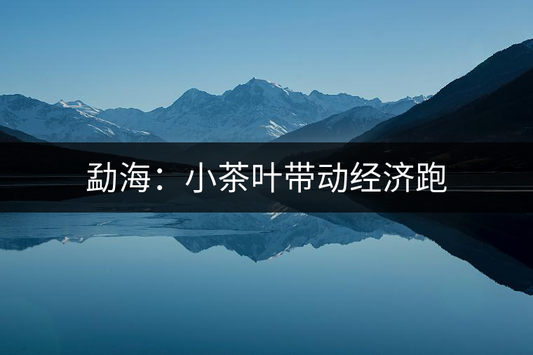 勐海：小茶葉帶動(dòng)經(jīng)濟(jì)跑