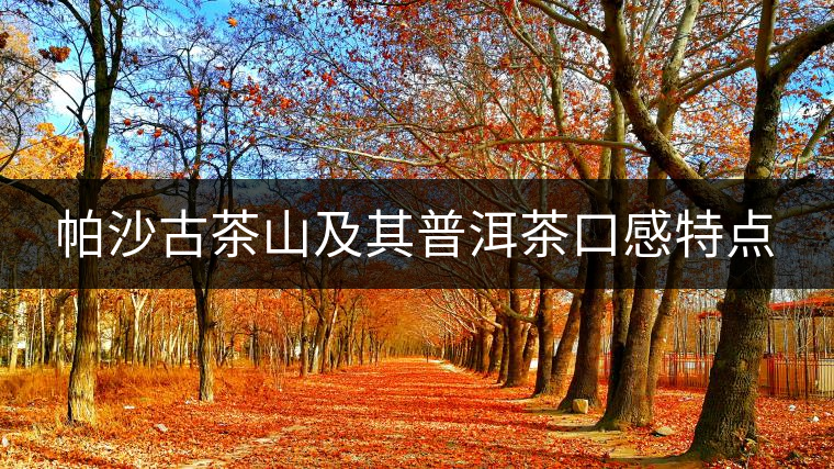 帕沙古茶山及其普洱茶口感特點 帕沙古茶山及其普洱茶口感特點