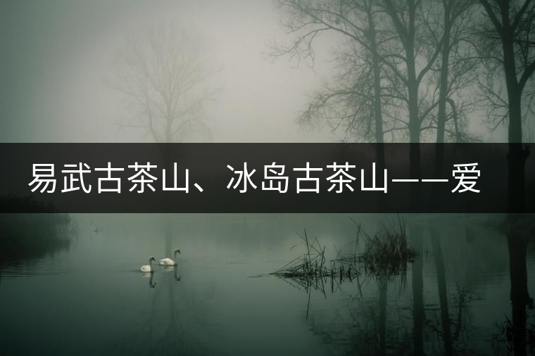 易武古茶山、冰島古茶山——愛(ài)茶人的旅游選擇