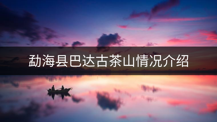 勐?？h巴達(dá)古茶山情況介紹