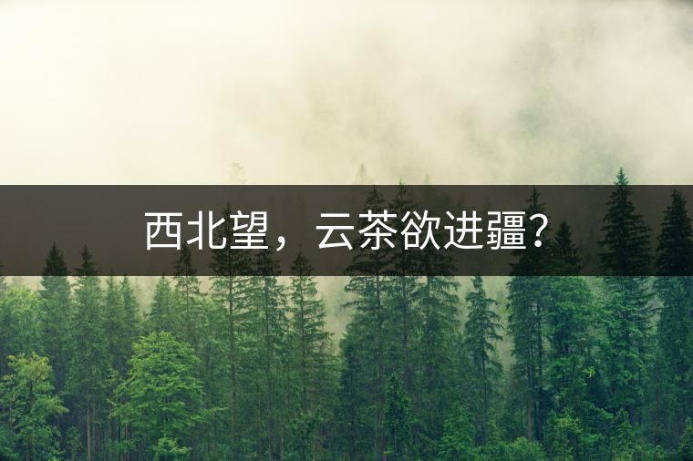 西北望，云茶欲進(jìn)疆？