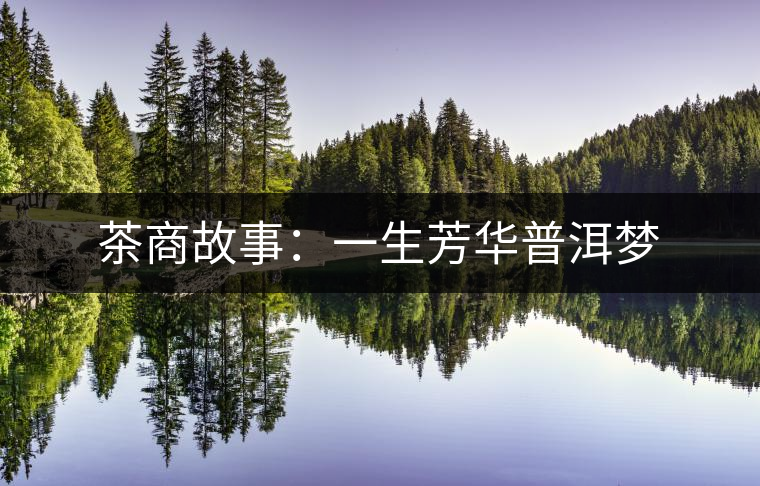 茶商故事：一生芳華普洱夢(mèng)