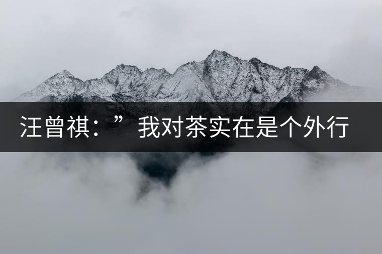 汪曾祺：”我對茶實(shí)在是個(gè)外行“