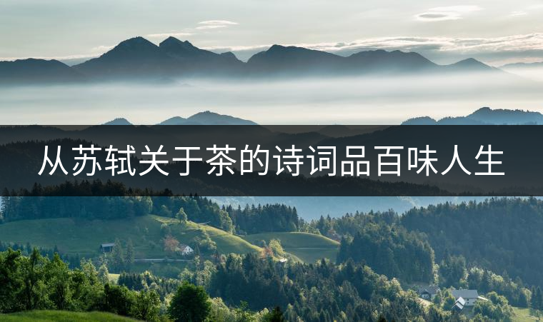 從蘇軾關(guān)于茶的詩詞品百味人生