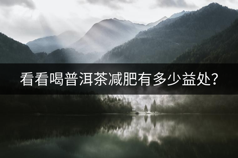 看看喝普洱茶減肥有多少益處？