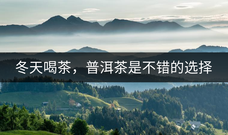 冬天喝茶，普洱茶是不錯的選擇