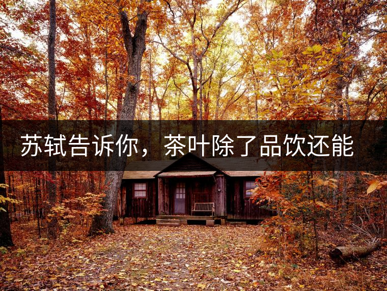 蘇軾告訴你，茶葉除了品飲還能做什么？