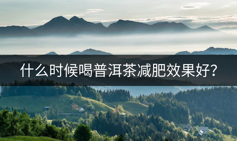 什么時(shí)候喝普洱茶減肥效果好？