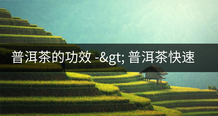 普洱茶的功效 -> 普洱茶快速減肥 普洱茶的功效 -> 普洱茶快速減肥